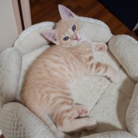 Photo of Aldi Special