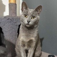 Photo of Indy