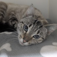 Photo of 💜 Indigo 6698 💜