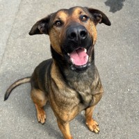Photo of Sampson