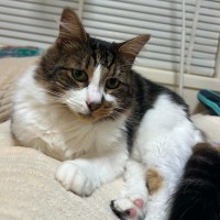 Photo of Hugo