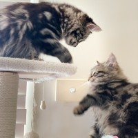 Photo of Jagger & Freya Rose 🌹