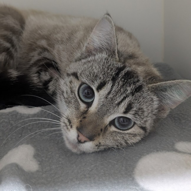 Photo of 💜 Indigo 6698 💜