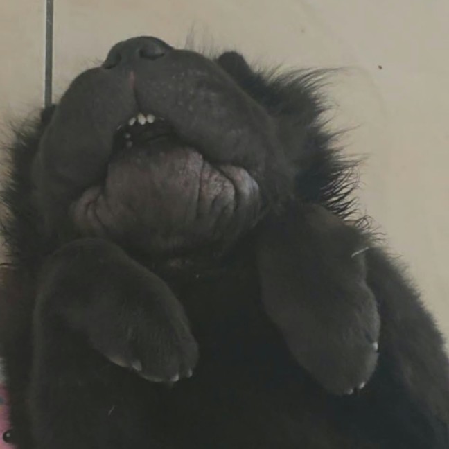 Photo of Bjorn