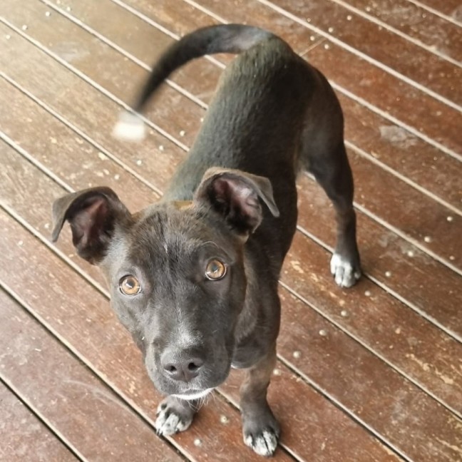 Photo of Hazel