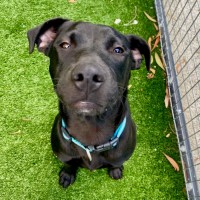 Photo of D1044 Marley