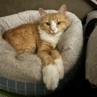 Photo of Freddie 🧡