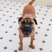 Photo of Oakley