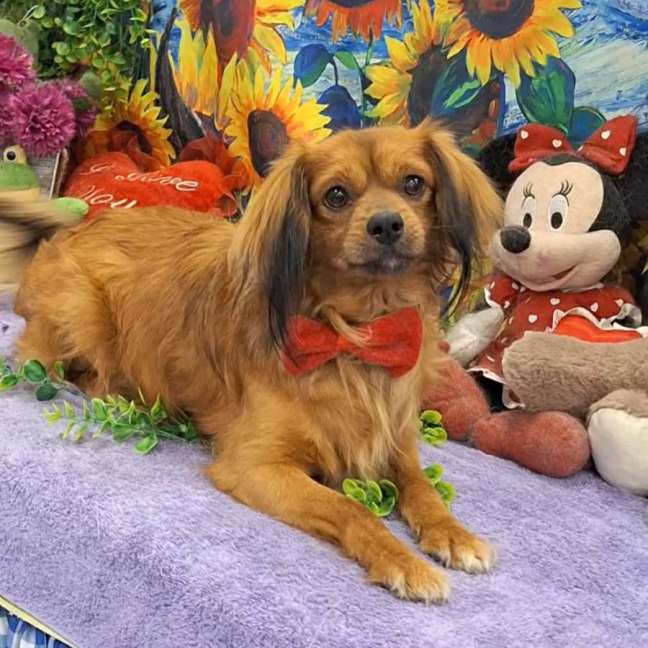 Photo of Max