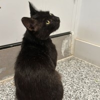 Photo of Thomas