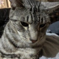 Photo of Leo