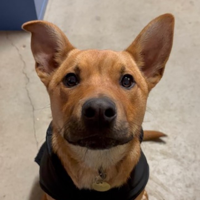 Photo of Lasso