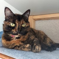 Photo of Mimi