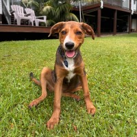 Photo of Sundae
