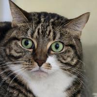 Photo of 🧶 Maggie 7215 🧶