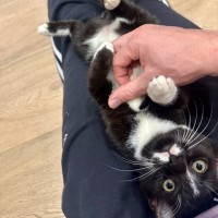 Photo of Mickey Mouse