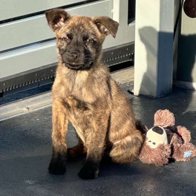 Photo of Betty 🎾🌹