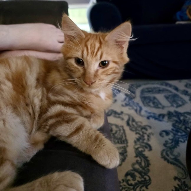 Photo of Bartholomew