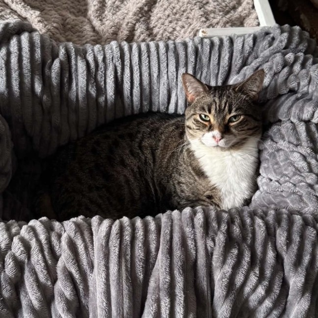 Photo of Benny