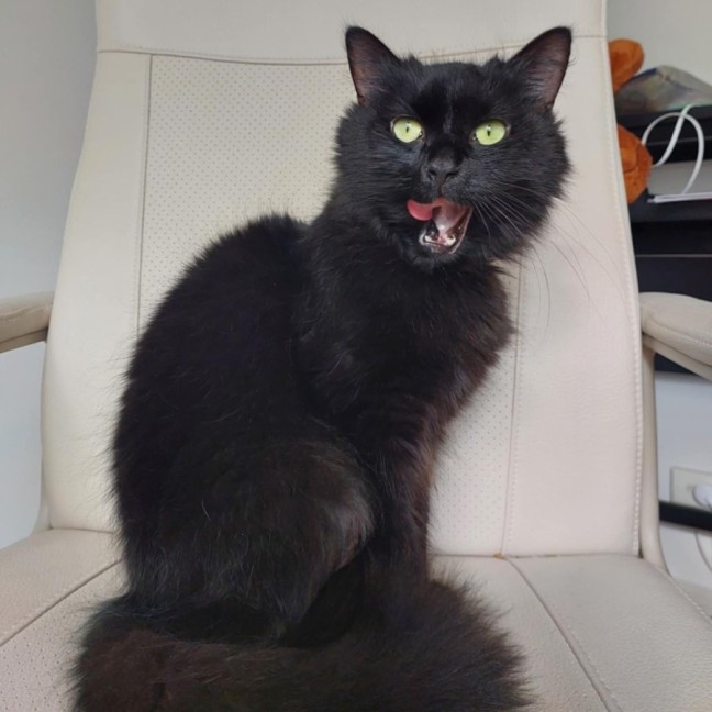 Photo of Eclipse 🖤