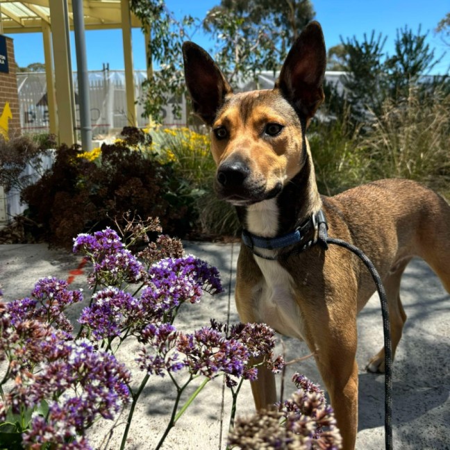 Photo of ⚽ Seamus 5707 ⚽