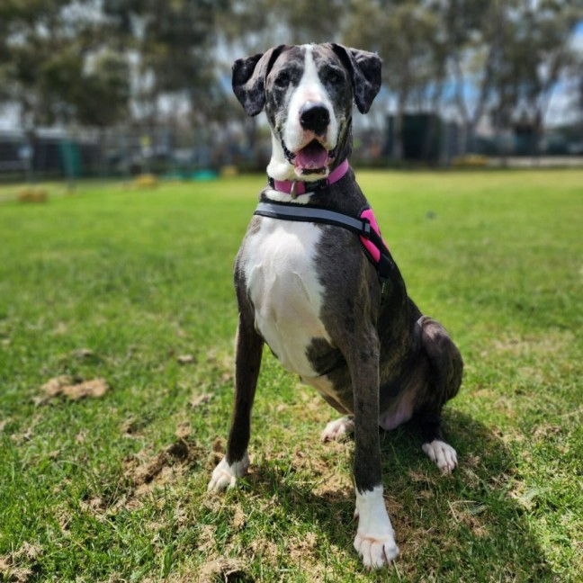 Photo of 🎭 Wednesday 6534 🎭