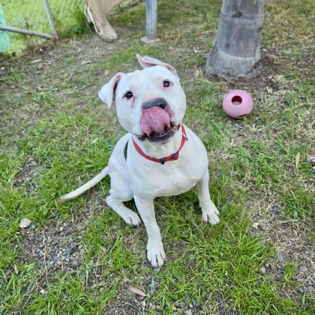 Photo of Stewie 