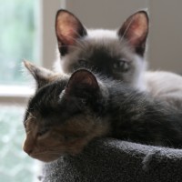 Photo of Quinnie