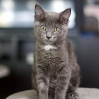 Photo of 🤍 Smokey 🤍