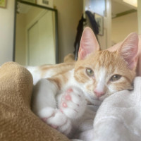 Photo of Roxy & Eggsy