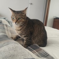 Photo of Daniella (Dani)