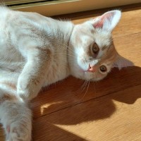 Photo of Zim