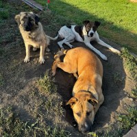 Photo of Bottletop Bill