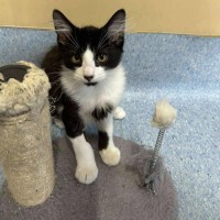 Photo of Marv   Located In Kew