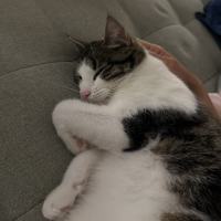 Photo of Coffee   Located In Thornbury