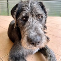 Photo of Aldric