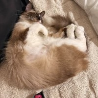 Photo of Mama Marcie