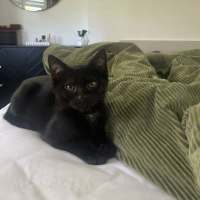 Photo of Albertus Extra Bold