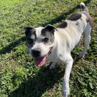 Photo of Buster 