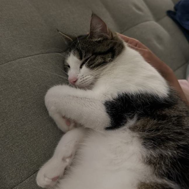 Photo of Coffee   Located In Thornbury