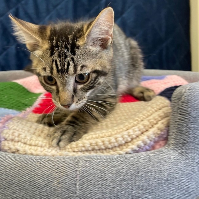 Photo of Marlowe