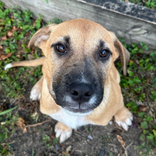 Photo of Vanity Smurf