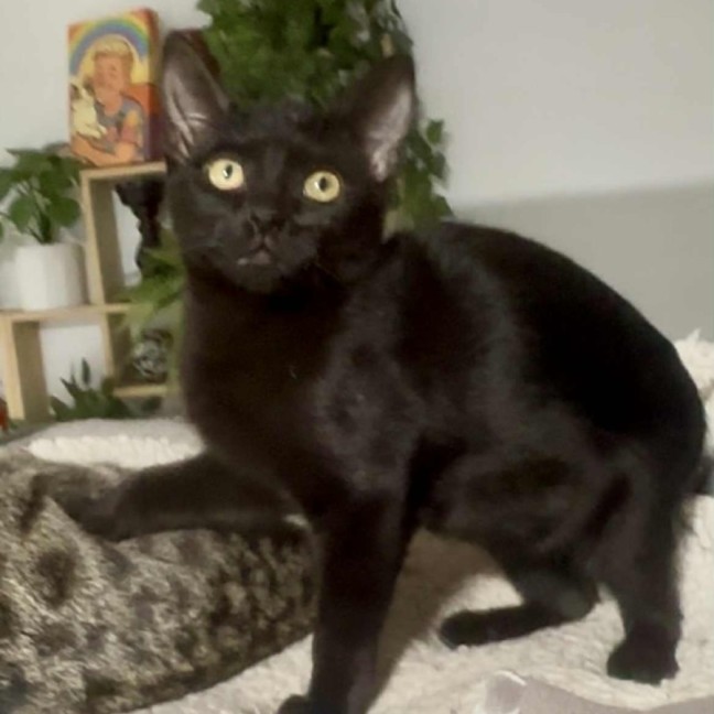 Photo of Xavier