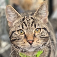 Photo of Spike