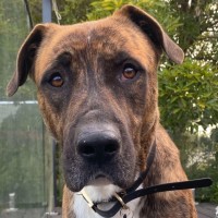 Photo of Trivial Pursuit