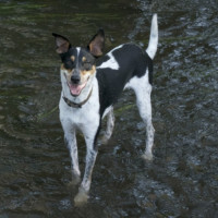 Photo of Archie