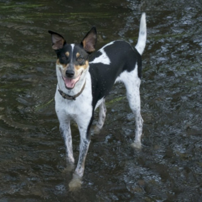 Photo of Archie
