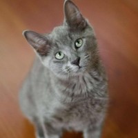 Photo of 💙 Ash 💙