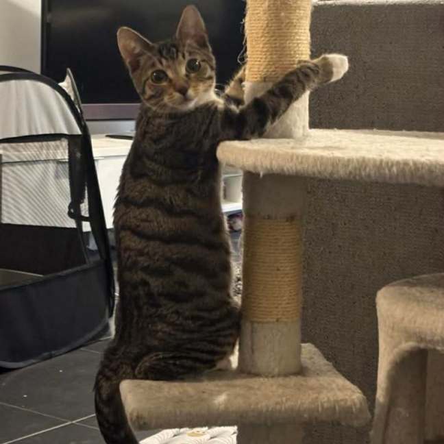 Photo of Taylor (Tay Tay)