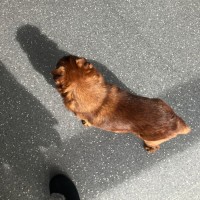 Photo of Arthur